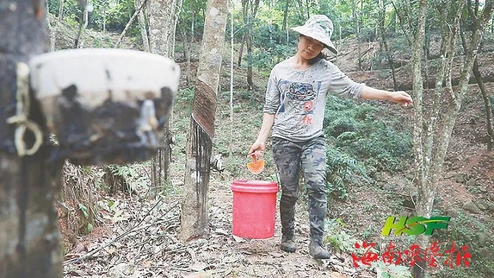 ������ʱ��(�й���)�������ǲ�!