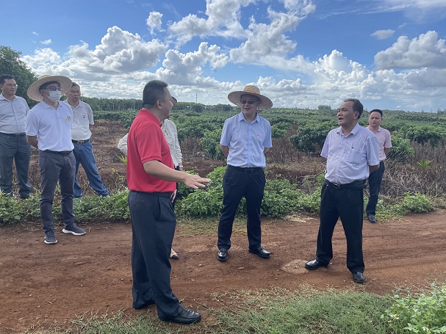 ������ʱ��(�й���)�������ǲ�!