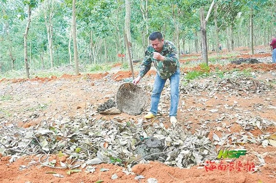 ������ʱ��(�й���)�������ǲ�!