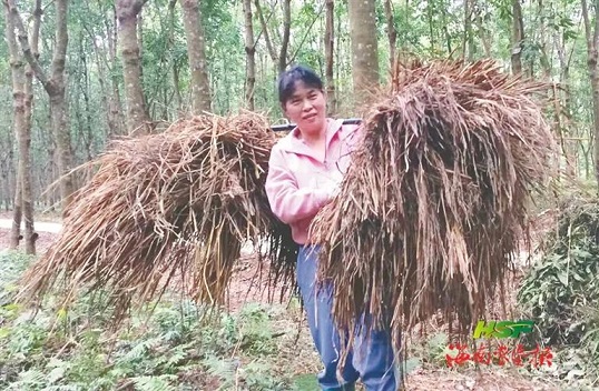 ������ʱ��(�й���)�������ǲ�!