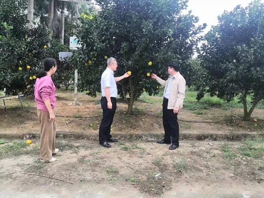 ������ʱ��(�й���)�������ǲ�!