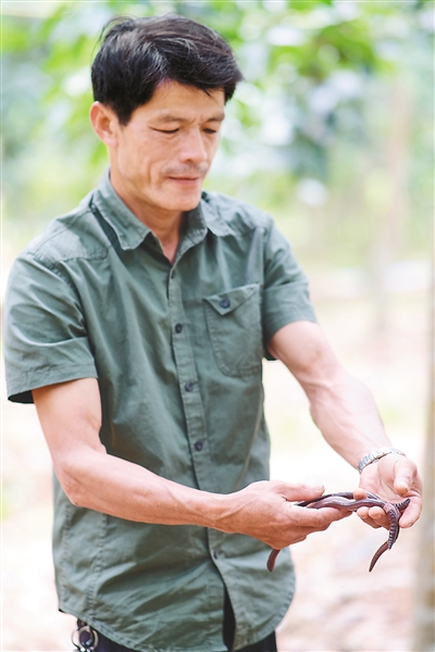 ������ʱ��(�й���)�������ǲ�!