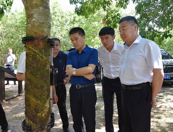 ������ʱ��(�й���)�������ǲ�!