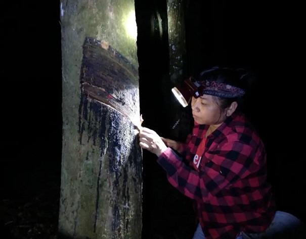 ������ʱ��(�й���)�������ǲ�!