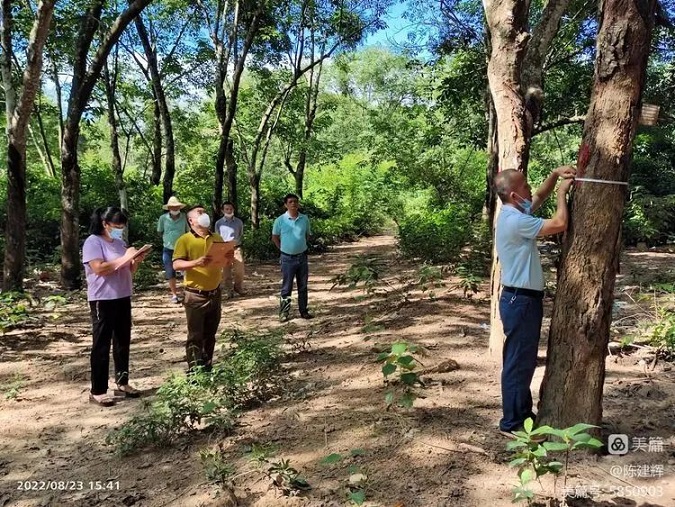 ������ʱ��(�й���)�������ǲ�!