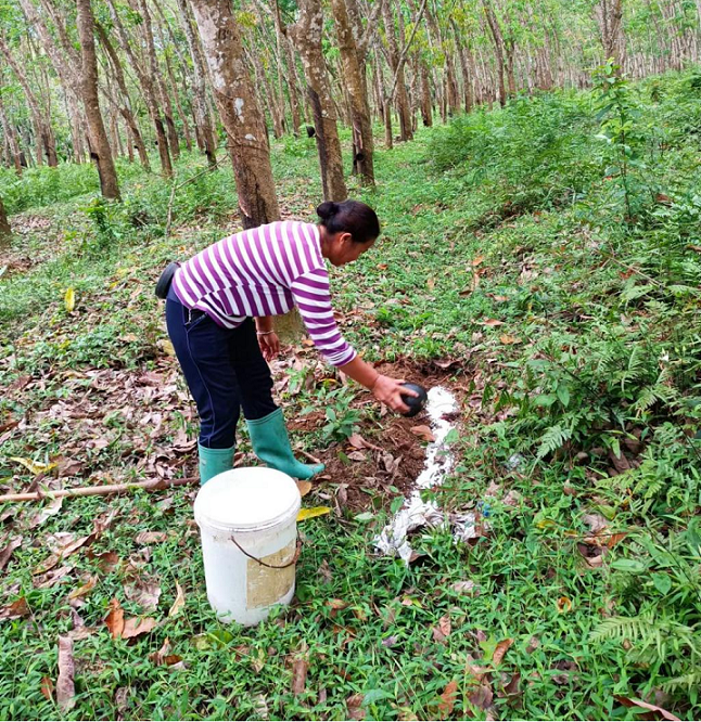 ������ʱ��(�й���)�������ǲ�!