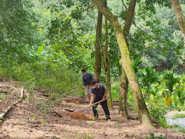 ������ʱ��(�й���)�������ǲ�!