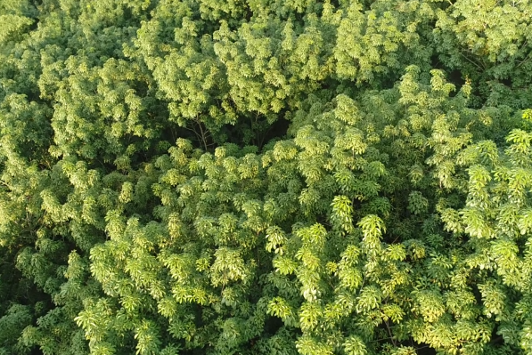 ������ʱ��(�й���)�������ǲ�!