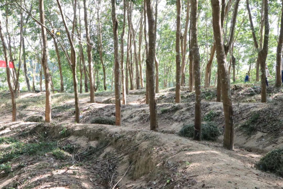 ������ʱ��(�й���)�������ǲ�!