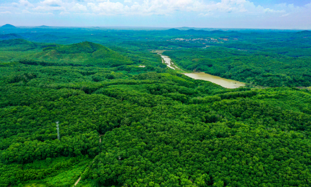 ������ʱ��(�й���)�������ǲ�!