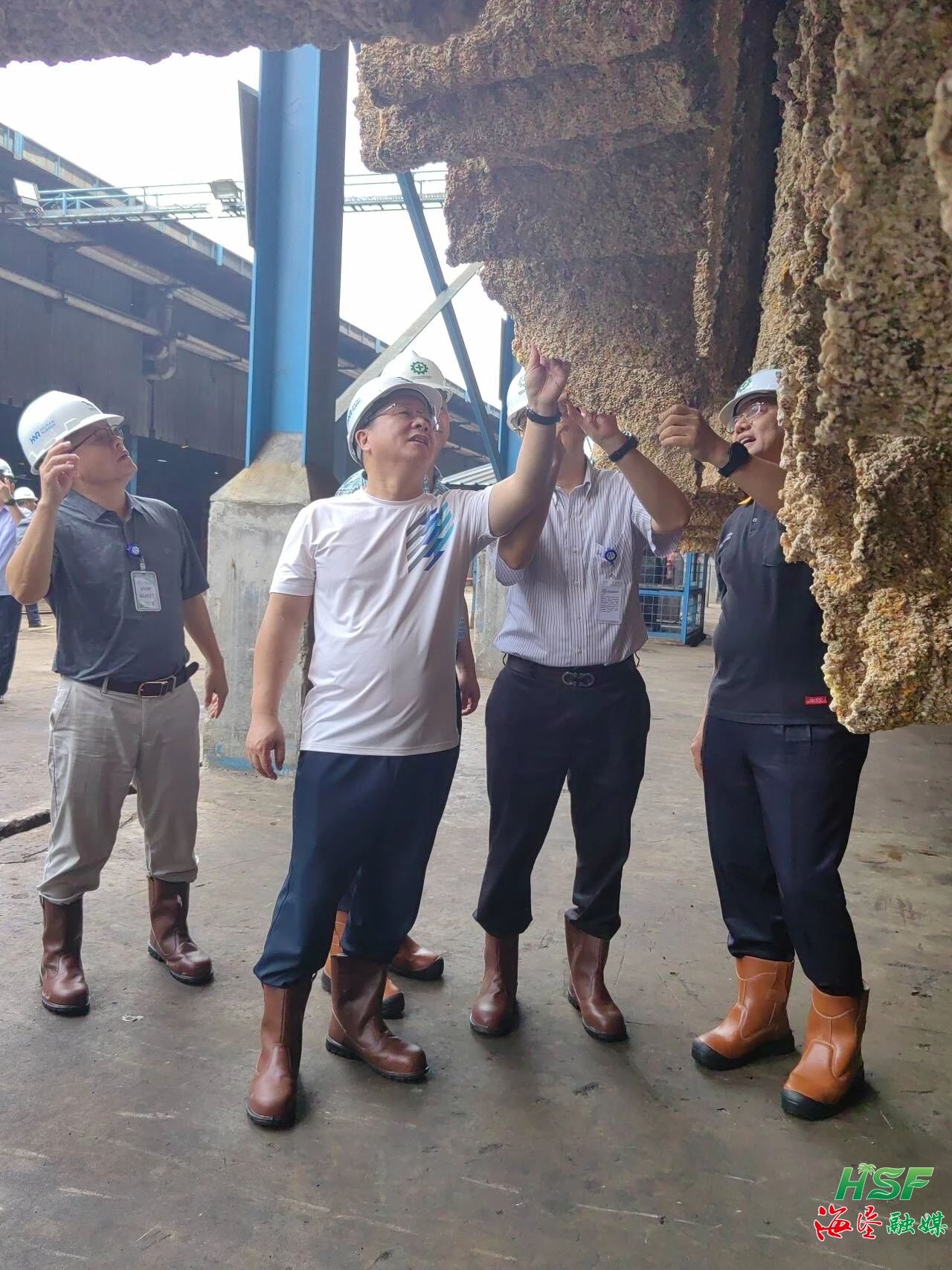 ������һ�е��к�ʢũҵSGO�ӹ���������